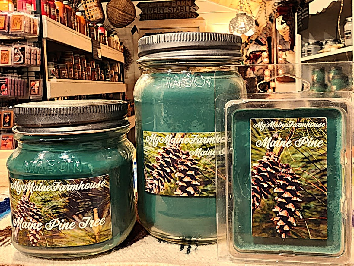 Maine Pine Tree Soy Candle Fresh Evergreen Forest Scent Hand-Poured in Maine Non-Toxic Farmhouse Candle