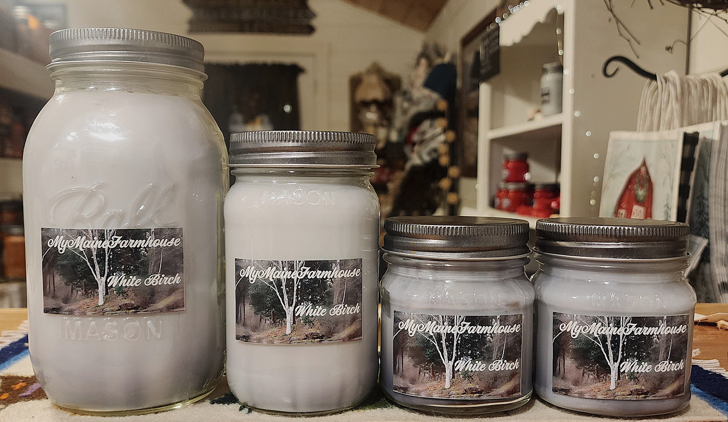 White Birch Soy Candle Fresh Woodsy Winter Scent Clean Forest Candle Hand-Poured in Maine